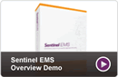 How Sentinel EMS Software Delivery Helps