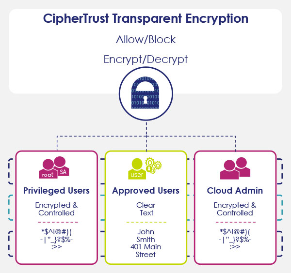 ciphertrust transparent encryption